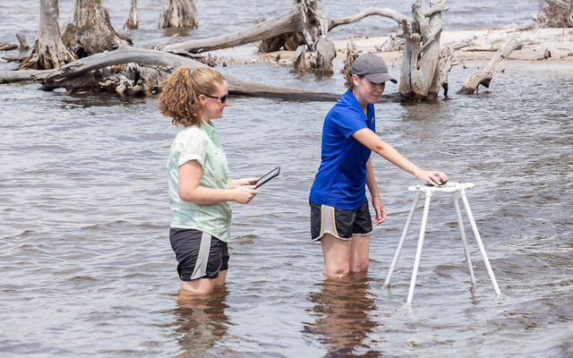Two female oyster restoration workers side by side knee deep in the bay water conduct scientific monitoring.