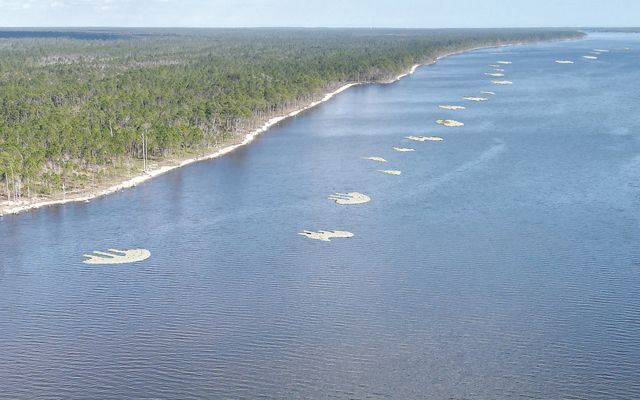 Rendering of completed oyster reefs