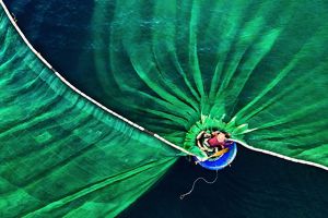 Overhead view of a man on a boat casting a wide, green net.