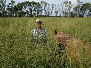 A man and a horse stand in a field with grass towering over their heads.