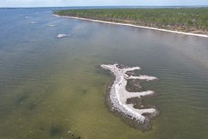 visible mounds of constructed substrate to deploy oysters.