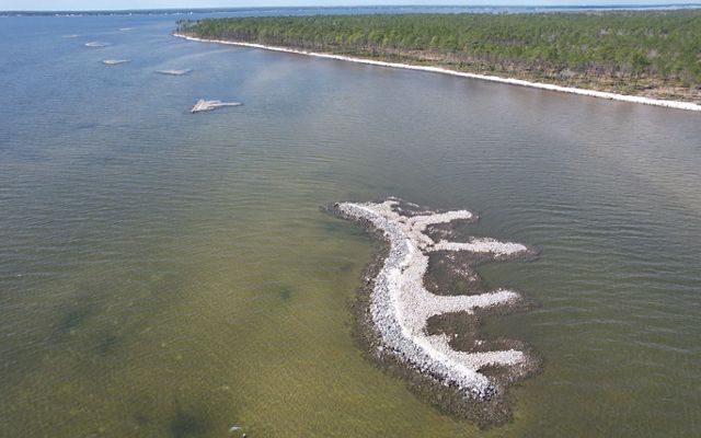 Image of Blackwater Bay at Escribano Point showing the newly constructed oyster reefs along the shoreline.