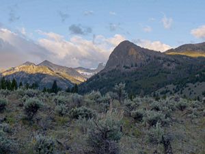 Large mountain peaks at sunrise with sagebrush hills in the foreground.