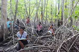 A group of women sit amongst mangrove roots.