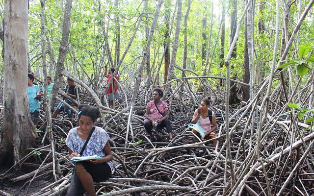 women attend a mangrove assessment training in Papua New Guinea.