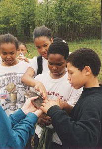 People at a festival looking at a snake.