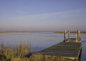 A short wooden dock extends from a marsh into a wide smooth river channel. The river curves away into the distance through tall marsh grass.