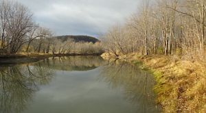 Calm river surrounded by leafless trees in late autumn under overcast skies.