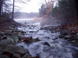 View looking out at a river as it winds and flows over rocks in the foreground; autumn-colored trees line the banks.