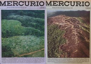 Portadas de El Mercurio con la tala y deforestación de la zona