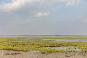 An expanse of green marsh, sandy beach, and blue coastal waters.