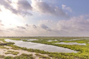 An expanse of green marsh, sandy beach, and blue coastal waters.