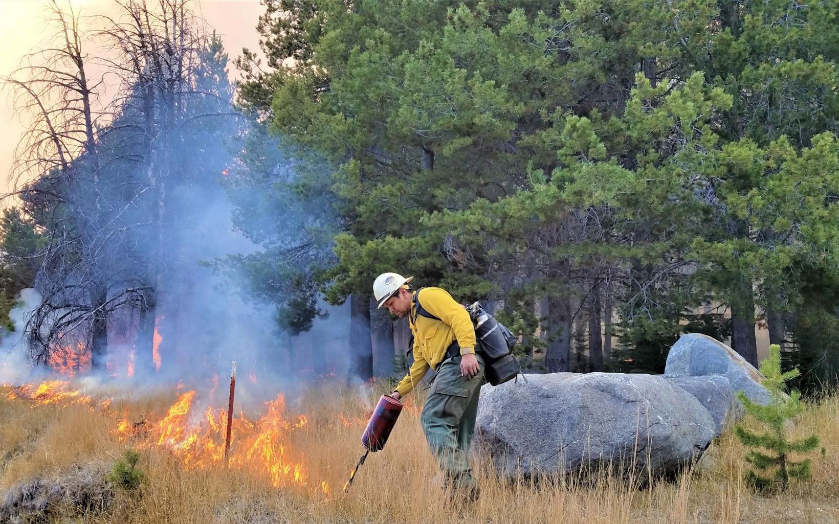 Prescribed fire Prescribed fire can help keep forests healthy and reduce the risk of catastrophic wildfire, as shown in this photo at Independence Lake  © Courtesy The Nature Conservancy in Nevada