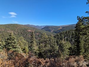 View looking across a vast forested mountain range.