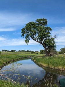 a calm river running through grassy fields.