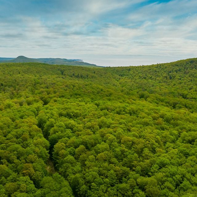 Aerial view of a rolling green forest in Michigan's Keweenaw Peninsula. 