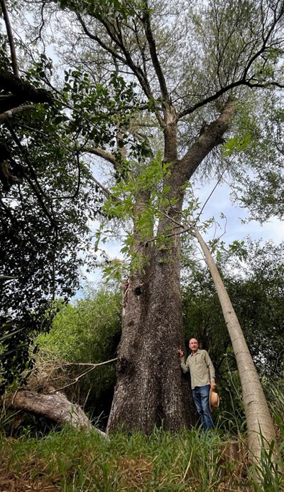 hombre parado al lado de un arbol alto.