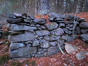 Corner of a tightly packed, gray stone foundation with pine trees growing above it.