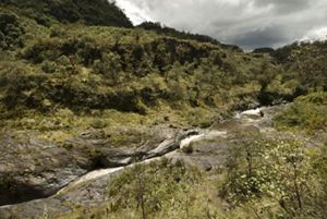 tierras en Ecuador