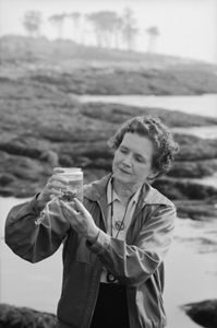 Biologist and author Rachel Carson stands seaside, examining specimen in a jar.