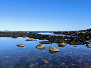 Rocky tidepools along the shore at Rachel Carson Salt Pond Preserve in Maine.