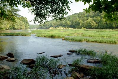 Small grassy islands dot a stretch of river. The banks are thickly lined with trees. 