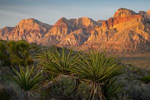 A desert environment with mountains in the background.