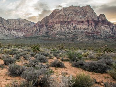 Red Rock Canyon National Conservation Area in Nevada.