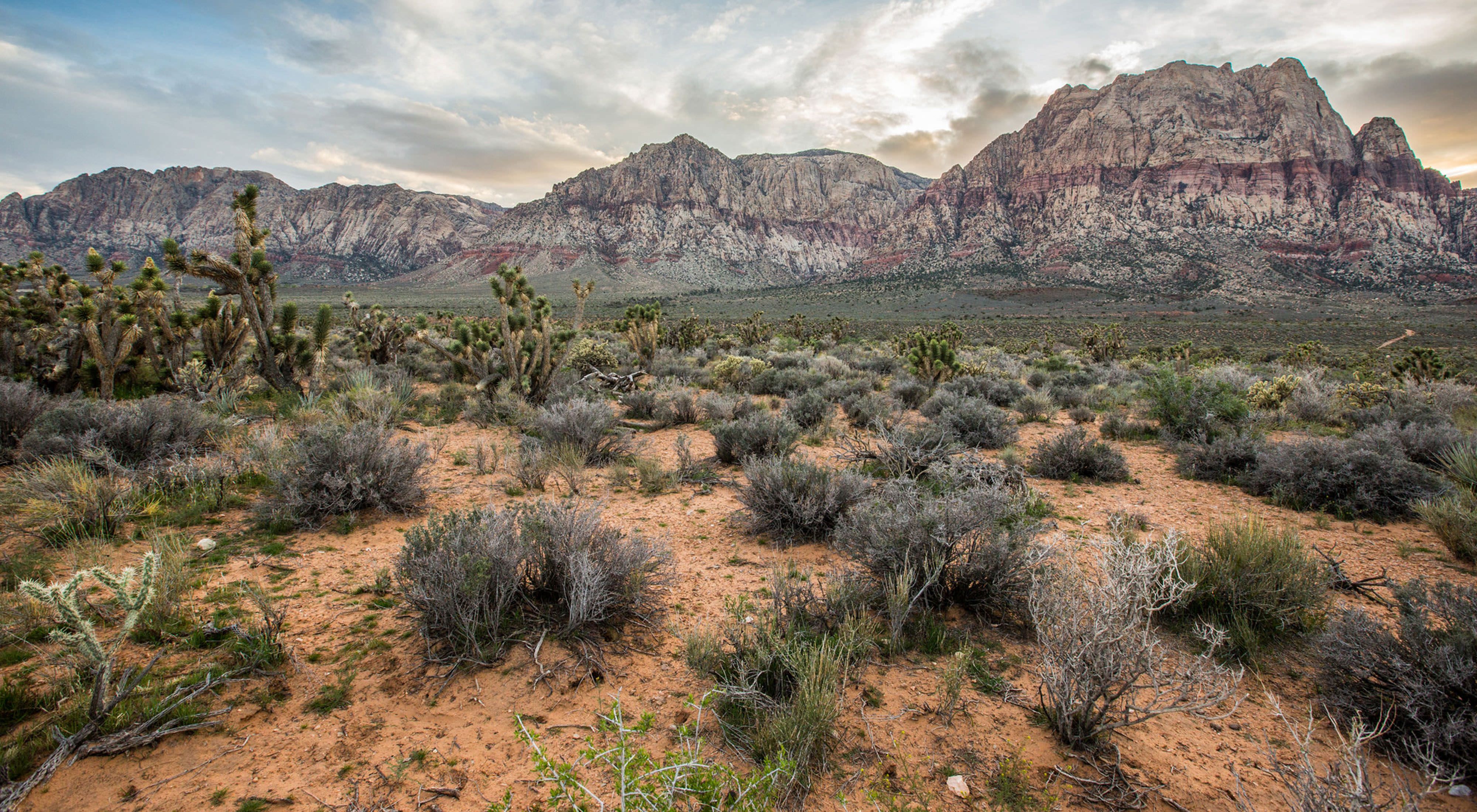 Towering red rock mountains in the background with a desert landscape in the foreground.