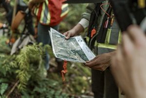 hands holding a map in a forest.