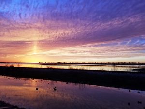 A purple sunset over a broad expanse of water and grass.