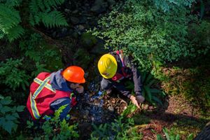 Two Indigenous Guardians working in the forest.