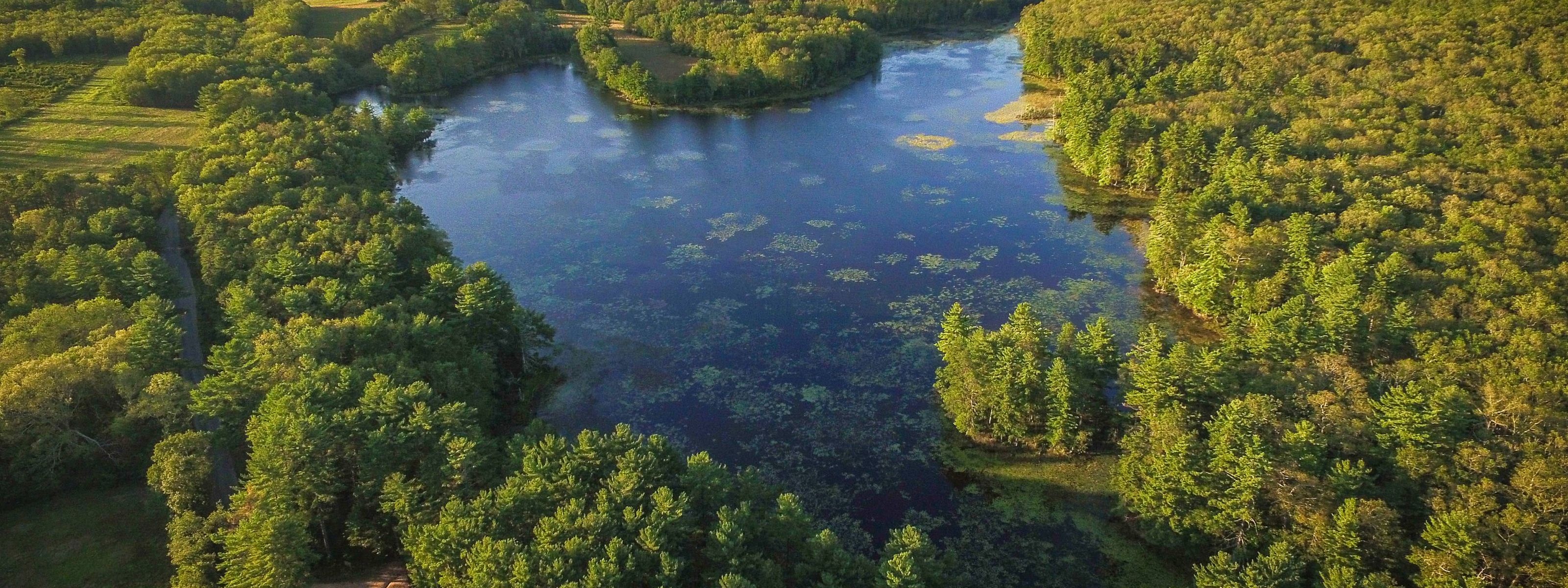 Aerial view of pond and woodlands.