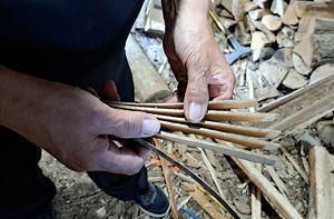 Richard Silliboy, vice chief of Mi'kmaq Nation, shows the splints of a black ash tree, which he will continue to process for basket-making.