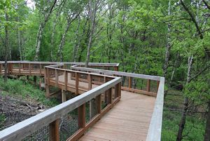 Boardwalk at Richardson Nature Center.