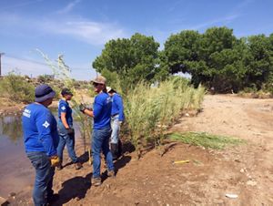 Rocky Mountain Youth Corps crews plant willows as part of the Albuquerque urban conservation arroyo restoration program.