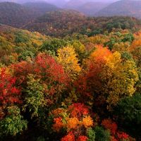 Fall foliage highlights a forested landscape.
