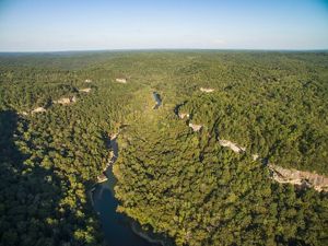 Image of the Rockcastle River surrounded by forestland.