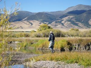 Angler fishing the blue-ribbon trout waters of the Ruby River 