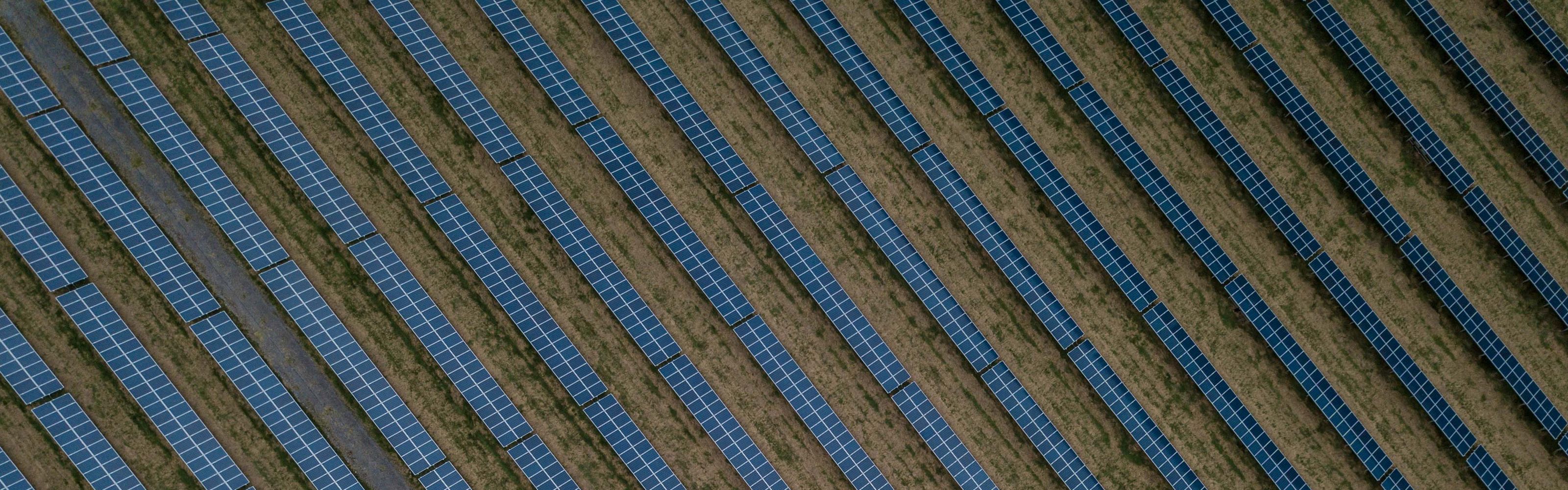Aerial view of solar panels in a field 