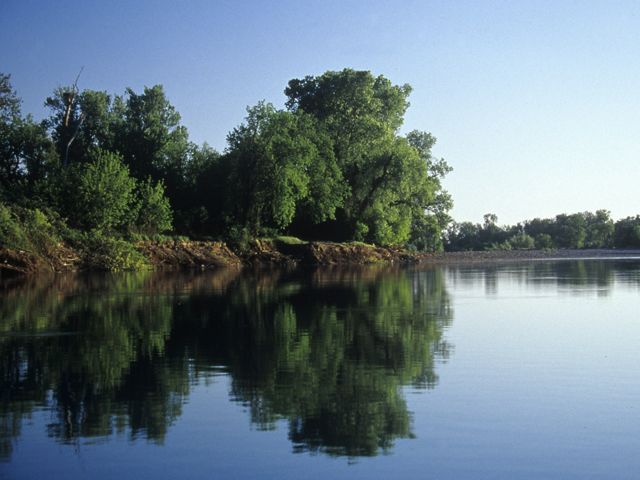 Still water on the Sacramento River in the foreground with a view of the river bank in the background.