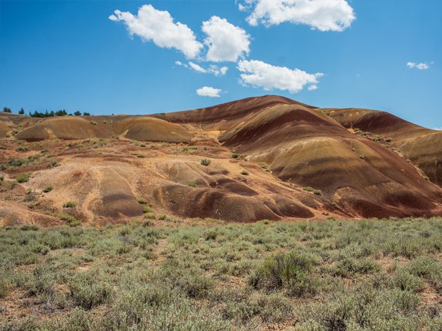 Orange, brown and black-striped hills under blue sky with green sagebrush in the foreground. 