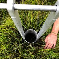 Looking down at a metal contraption with an open tube embedded in salt marsh grasses and the arm of a person inspecting it.