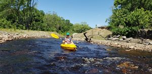 A woman kayaks down the Mill River toward the camera. 