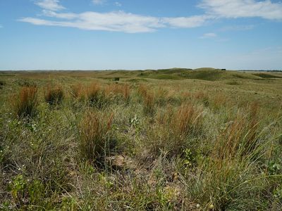 Undulated hills covered in green and brown grass.