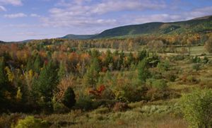 Rolling hills covered in green, yellow and orange-leaved trees with mountains in the background.