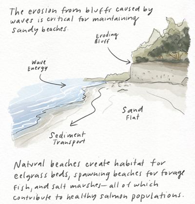 Illustration of erosion and sediment transfer on a beach.