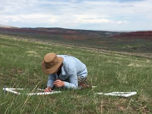 Person in a field, kneeling over a square frame made of PVC pipe and studying grasses.