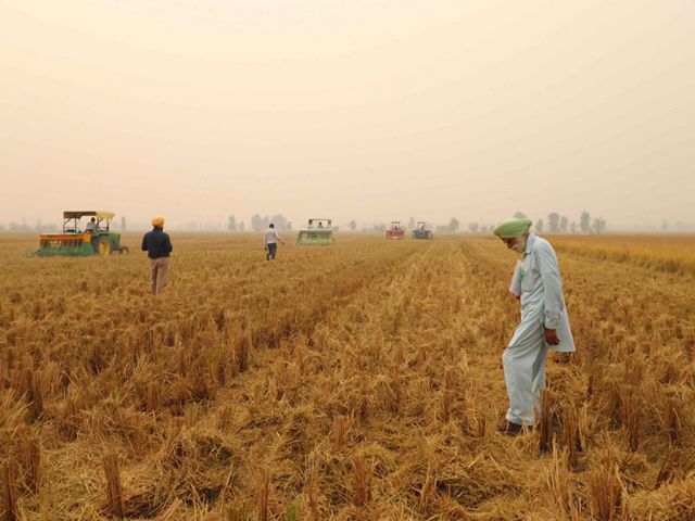 Smoke covers farmers and their machinery among crop fields.