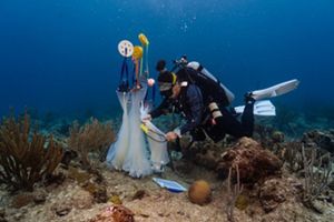 A woman diver adjusts nets underwater.